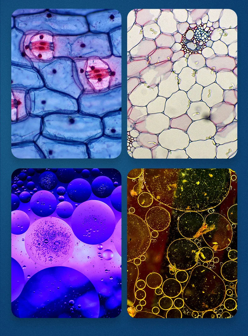 Biological Pocket SensoryMicroscopeâą Kids Science Toy - Sensory Kids