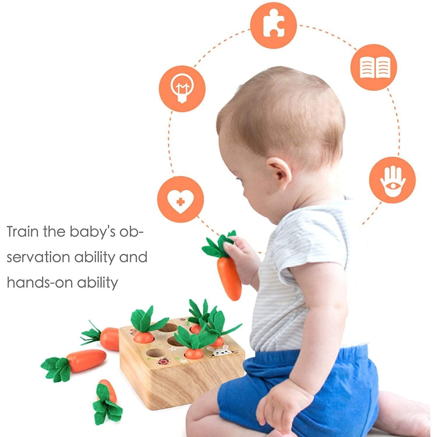 Carrot Harvest Toy for Fine Motor Skills - Sensory Kids